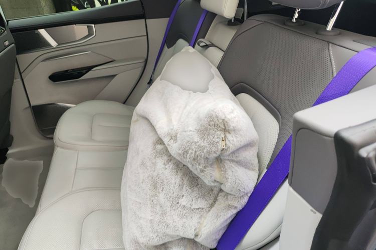 Used HiPhi Y 2023 560 km Elite Version Left Rear Seat