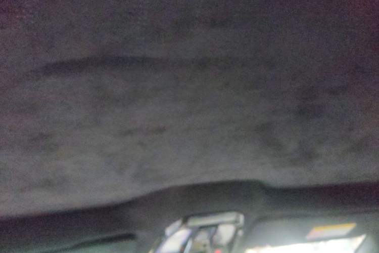 Used HiPhi Z 2023 Four-Seat Version Headliner