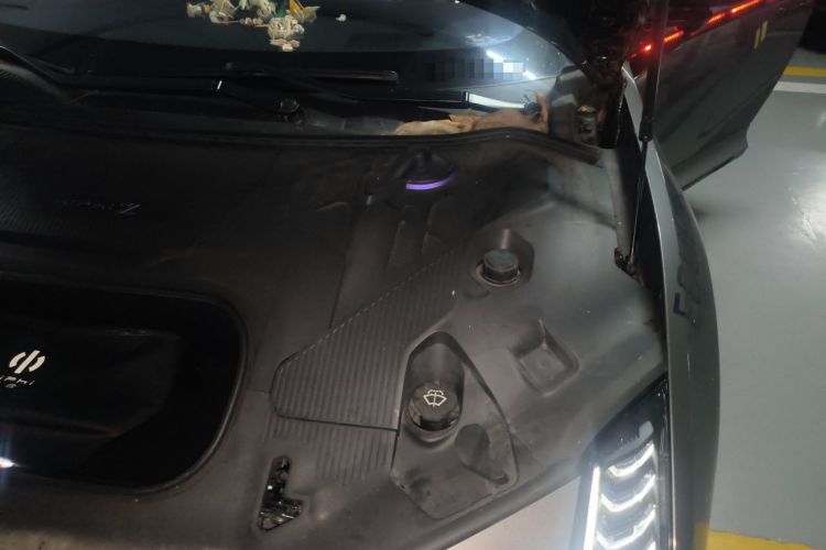 Used HiPhi Z 2023 Five-Seater Version Engine Bay Left