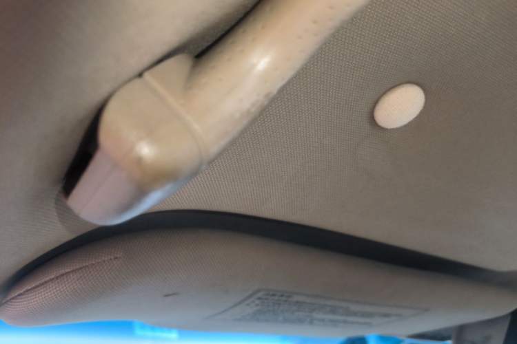 Used Honda Accord 2004 2.0L Headliner