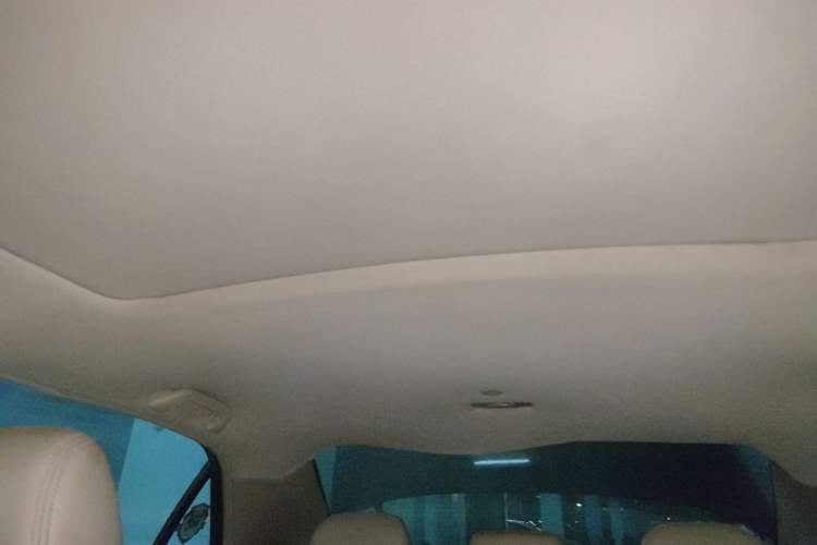 Used Honda Accord 2006 2.4L Luxury Edition Headliner
