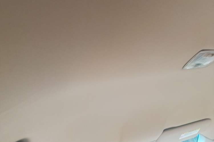 Used Honda Accord 2008 2.0L MT Headliner