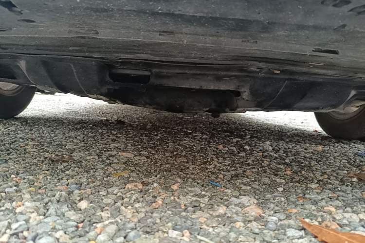 Used Honda Accord 2009 2.4L LX Chassis Front