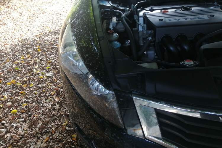 Used Honda Accord 2009 2.4L LX Right Front Headlight