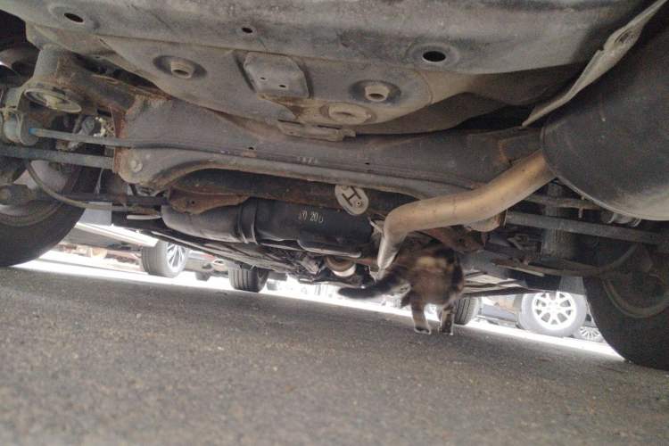 Used Honda Accord 2010 2.0L EX Chassis Rear