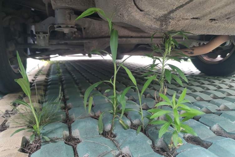 Used Honda Accord 2010 2.4L LX Chassis Rear