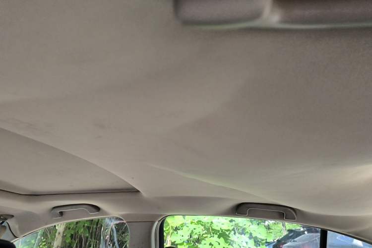 Used Honda Accord 2010 2.4L LX Headliner