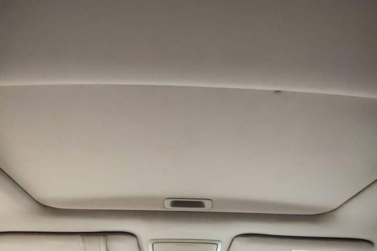 Used Honda Accord 2010 2.4L Millionth Anniversary Edition Headliner