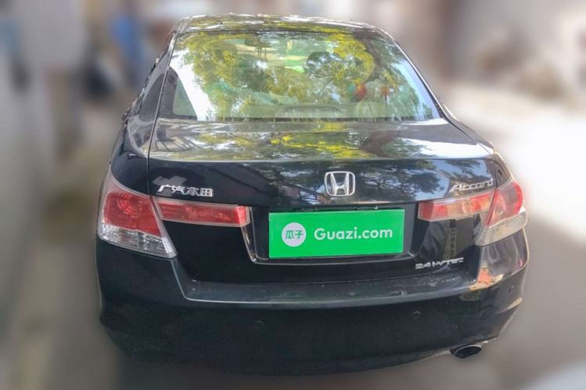 Used Honda Accord 2010 2.4L Millionth Anniversary Edition Rear
