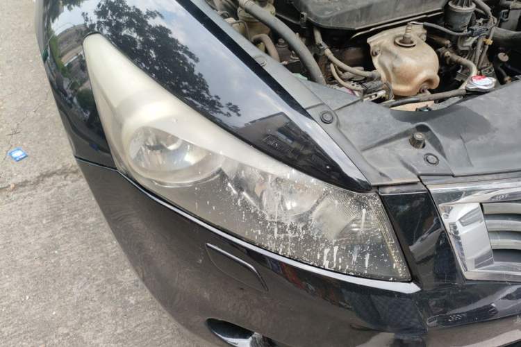 Used Honda Accord 2010 2.0L EX Right Front Headlight