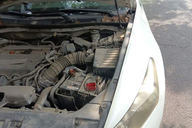 Used Honda Accord 2010 2.4L Millionth Anniversary Edition Engine Bay Left