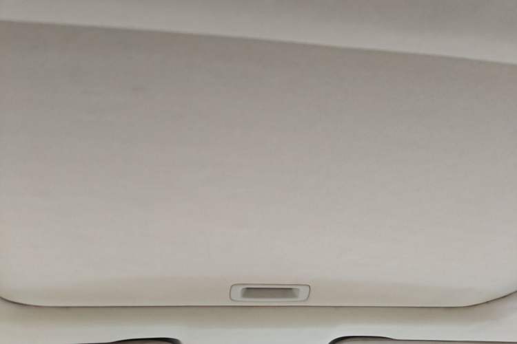 Used Honda Accord 2010 2.0L EX Headliner