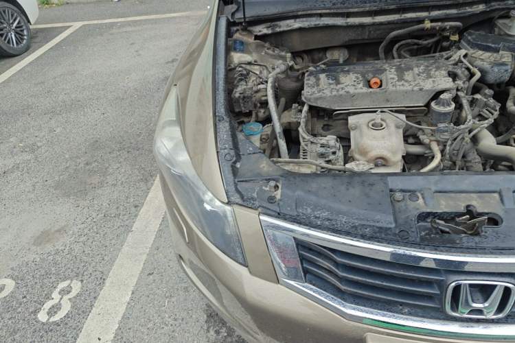Used Honda Accord 2010 2.0L EX Right Front Headlight