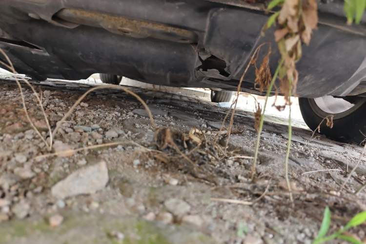 Used Honda Accord 2011 2.4L LX Chassis Front