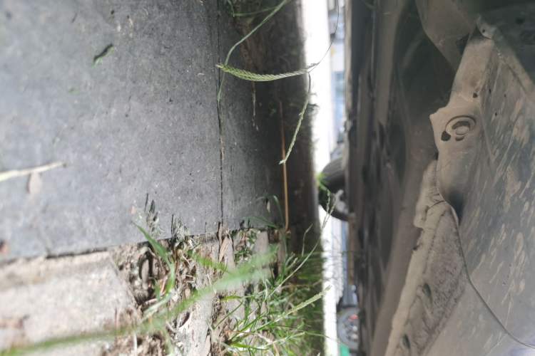 Used Honda Accord 2011 2.4L EX Chassis Front Left