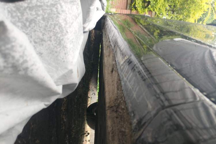 Used Honda Accord 2011 2.4L LX Chassis Front Right
