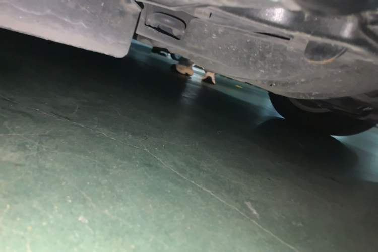 Used Honda Accord 2011 2.0L EX Chassis Front