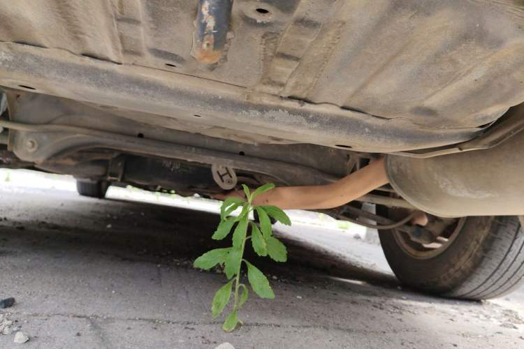 Used Honda Accord 2011 2.0L EX Chassis Rear