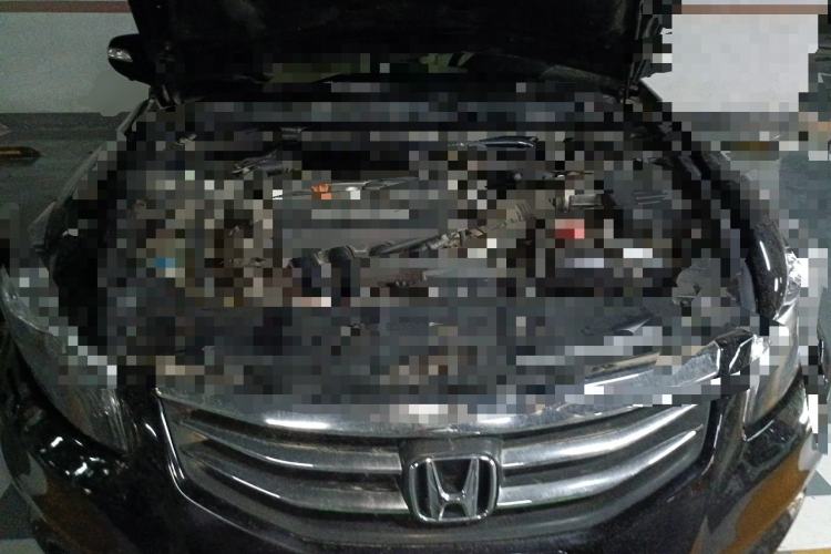 Used Honda Accord 2011 2.4L EX Engine Bay
