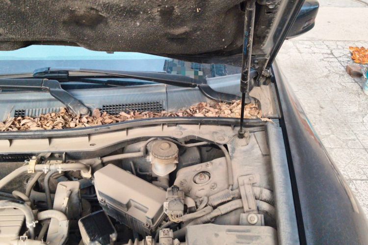 Used Honda Accord 2011 2.4L LX Engine Bay Left