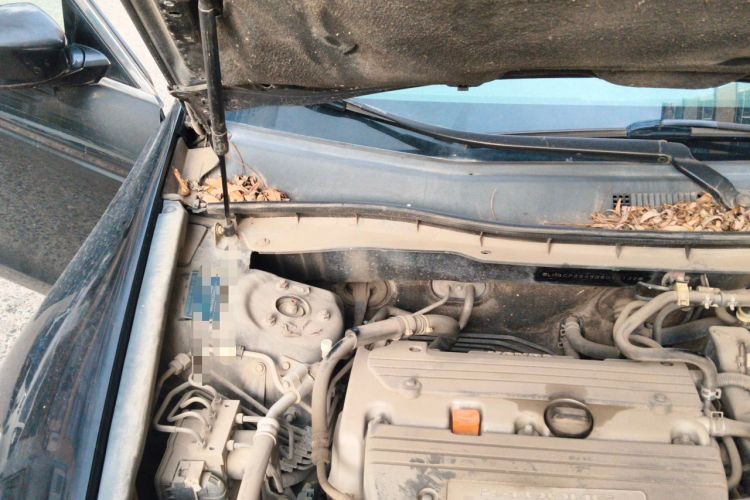 Used Honda Accord 2011 2.4L LX Engine Bay Right