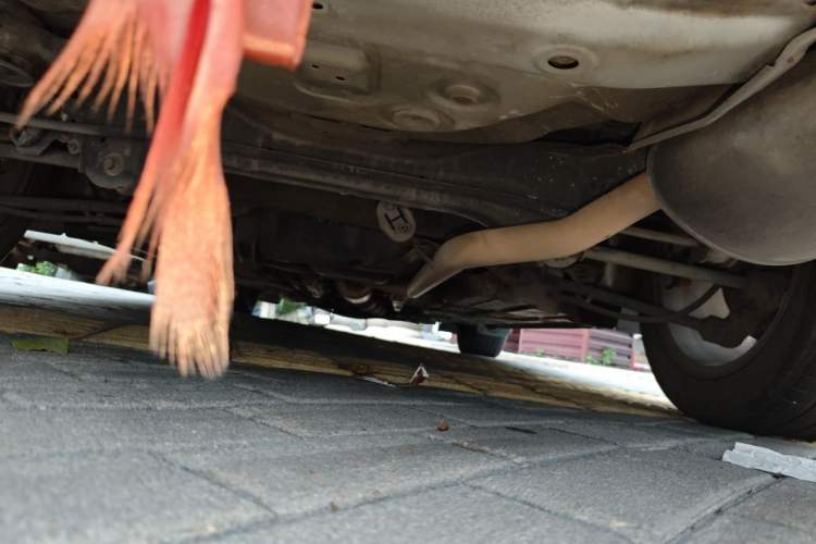 Used Honda Accord 2012 2.4L SE Chassis Rear