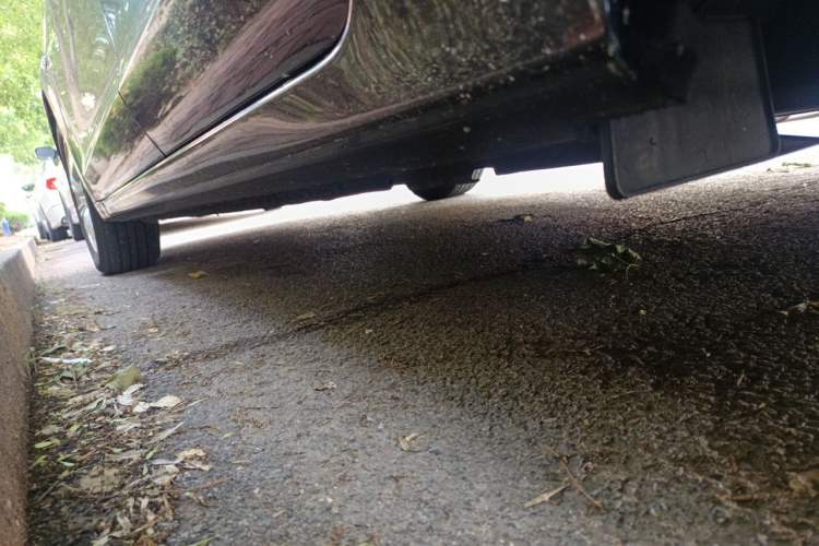 Used Honda Accord 2012 2.0L SE Chassis Rear Left