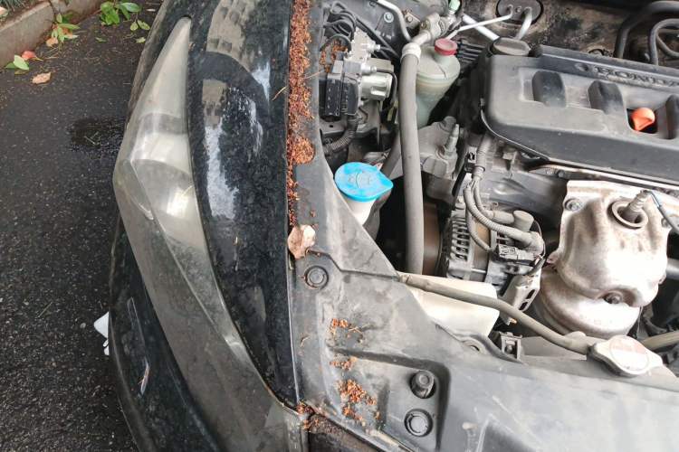 Used Honda Accord 2012 2.0L SE Engine Bay Right