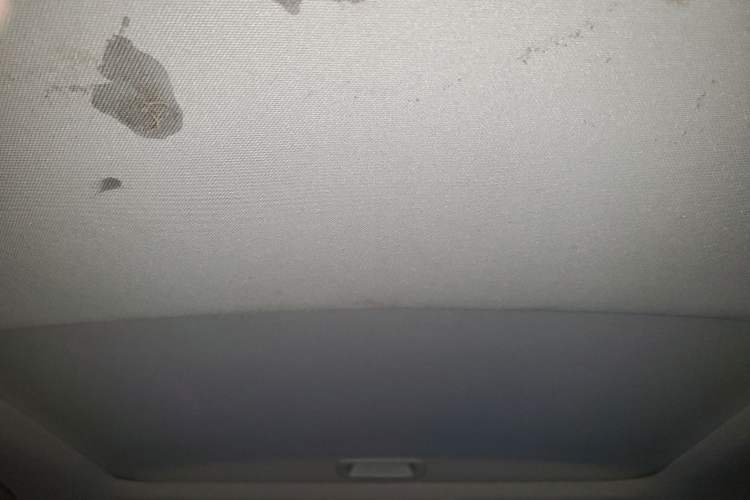 Used Honda Accord 2012 2.4L SE Headliner