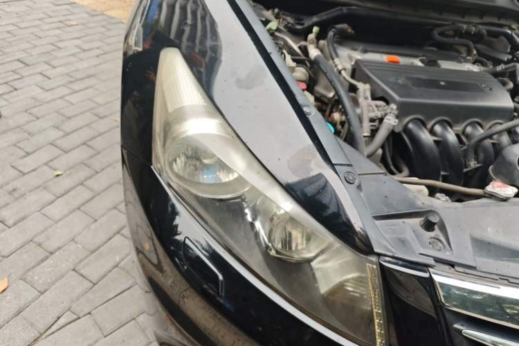 Used Honda Accord 2012 2.4L SE Right Front Headlight