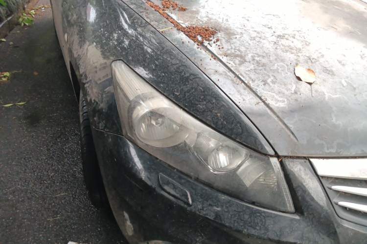 Used Honda Accord 2012 2.0L SE Right Front Headlight