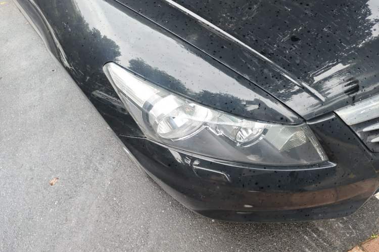 Used Honda Accord 2012 2.4L SE Right Front Headlight