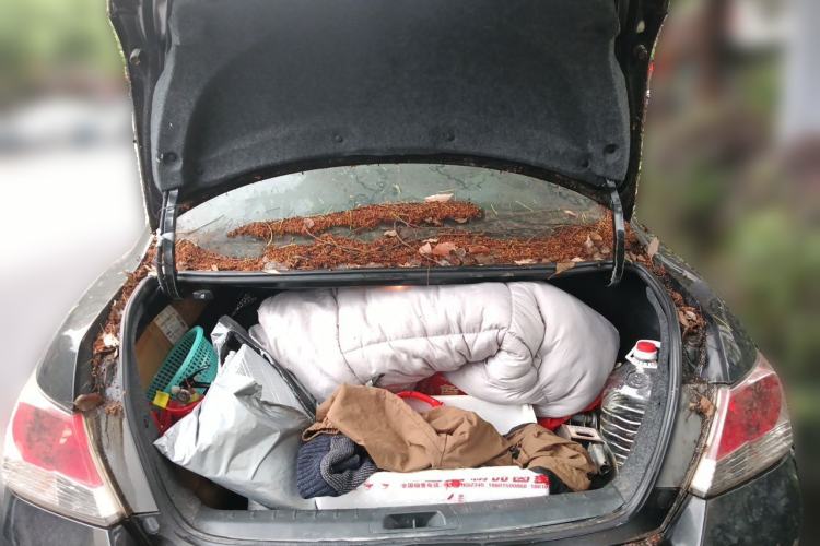 Used Honda Accord 2012 2.0L SE Trunk