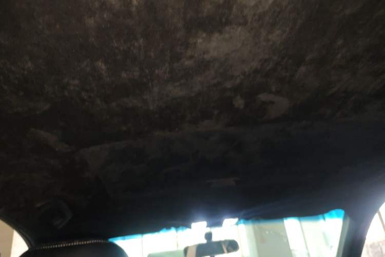 Used Honda Accord 2012 2.0L SE Headliner