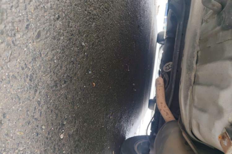 Used Honda Accord 2012 2.4L SE Chassis Rear
