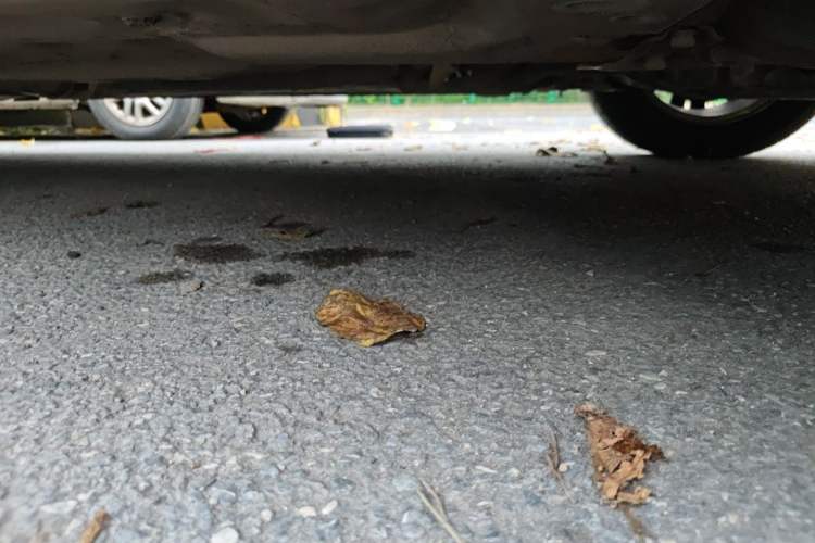 Used Honda Accord 2013 2.0L SE Chassis Front Right