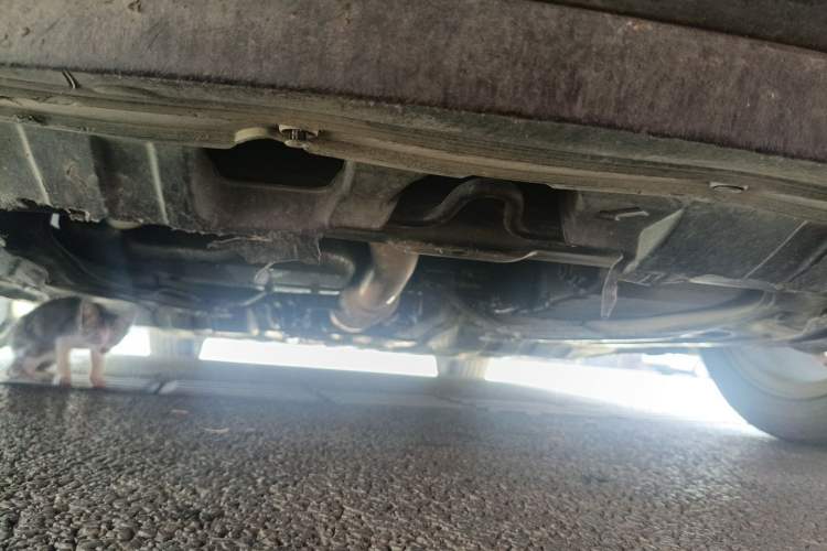 Used Honda Accord 2014 2.4L EX Luxury Edition Chassis Front