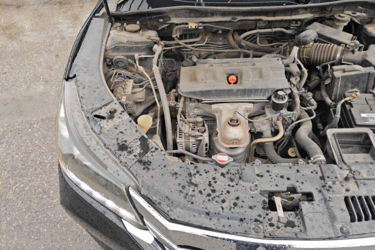 Used Honda Accord 2014 2.0L LX Comfort Edition Engine Bay Right