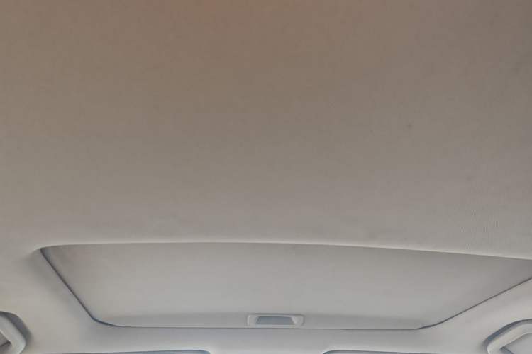 Used Honda Accord 2014 2.4L EX Luxury Edition Headliner