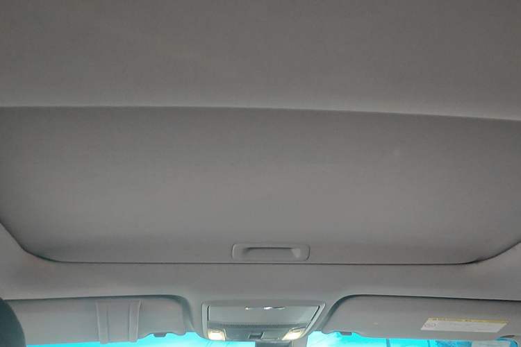 Used Honda Accord 2014 2.0L EX Luxury Edition Headliner