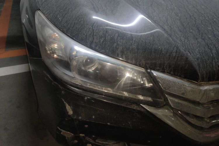 Used Honda Accord 2014 2.0L EX Luxury Edition Right Front Headlight
