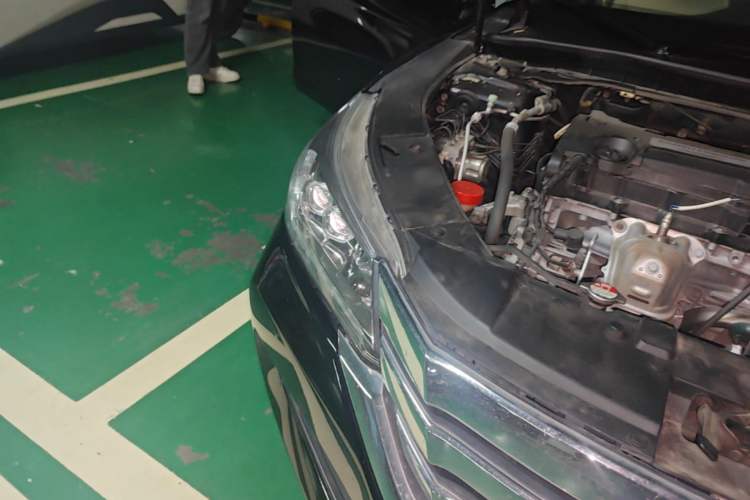 Used Honda Accord 2014 2.4L EX Luxury Edition Right Front Headlight