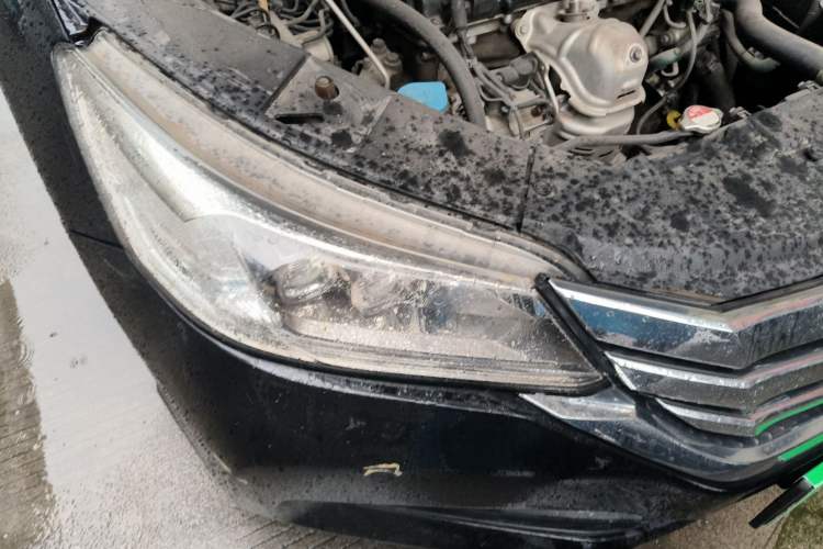 Used Honda Accord 2014 2.4L EX Luxury Edition Right Front Headlight