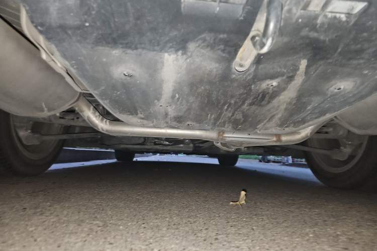 Used Honda Accord 2014 2.4L EX Luxury Edition Chassis Rear