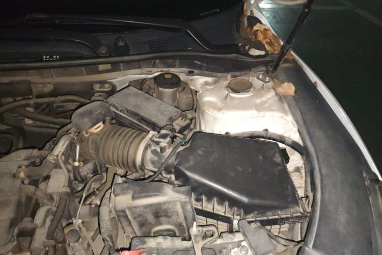 Used Honda Accord 2014 2.0L LX Comfort Edition Engine Bay Left