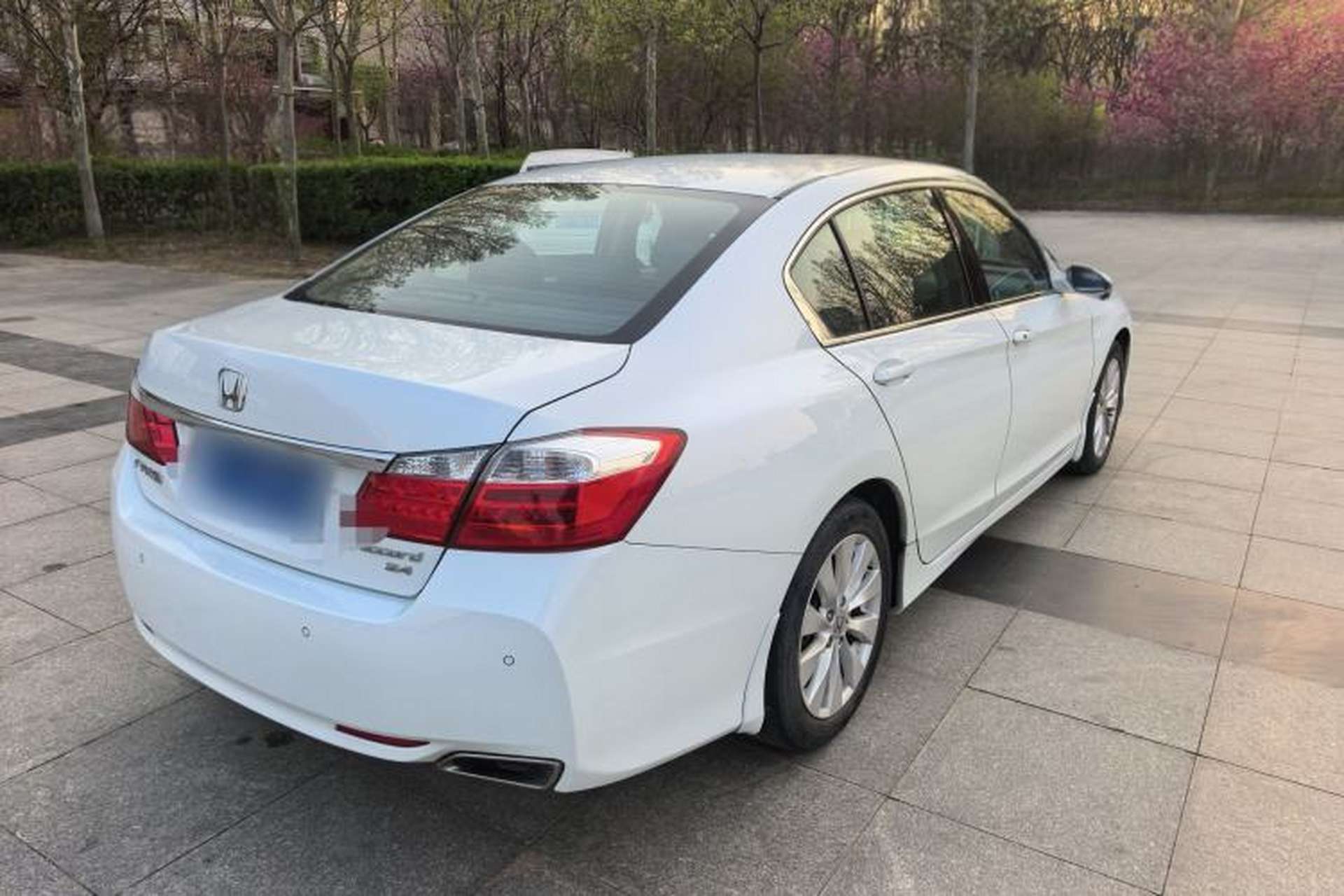 Used Honda Accord 2014 2.4L EXN Luxury Navigation Edition Exterior 5
