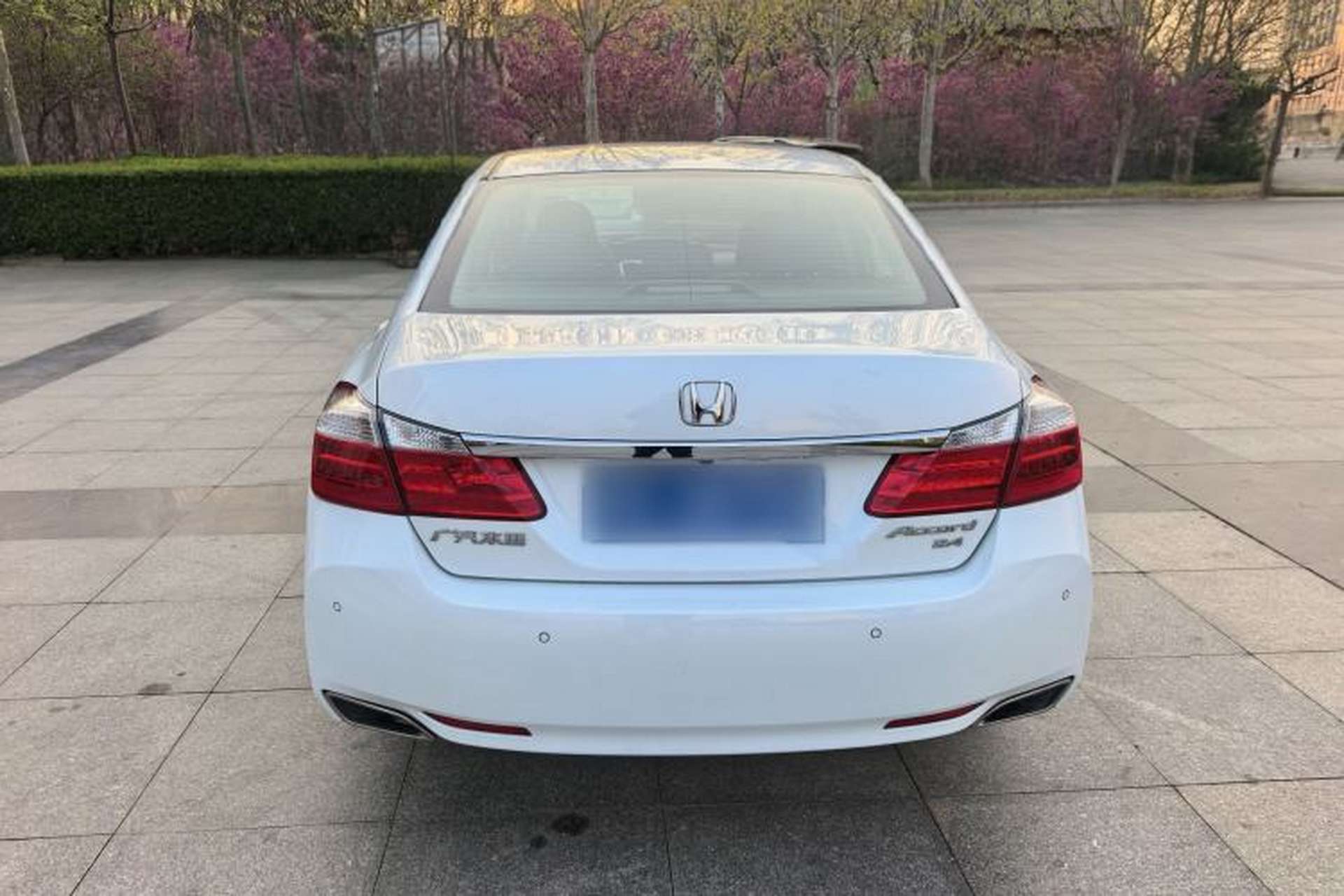 Used Honda Accord 2014 2.4L EXN Luxury Navigation Edition Exterior 6