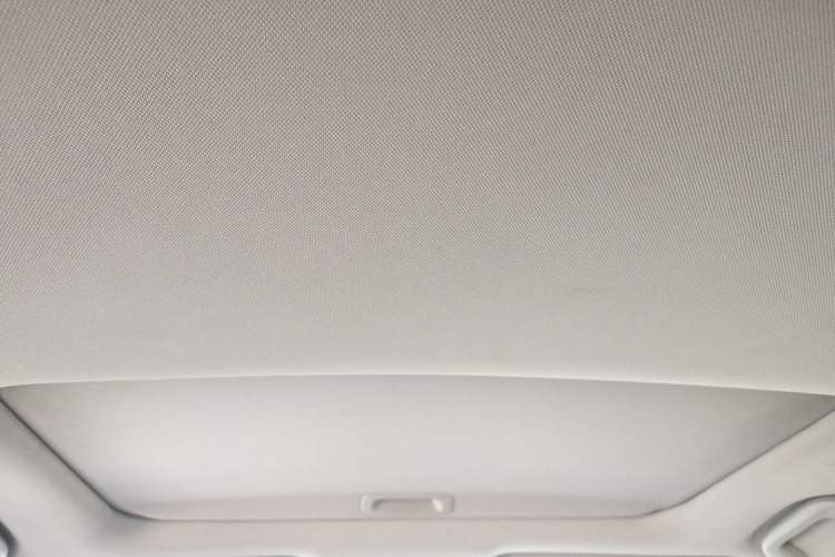 Used Honda Accord 2014 2.4L EX Luxury Edition Headliner