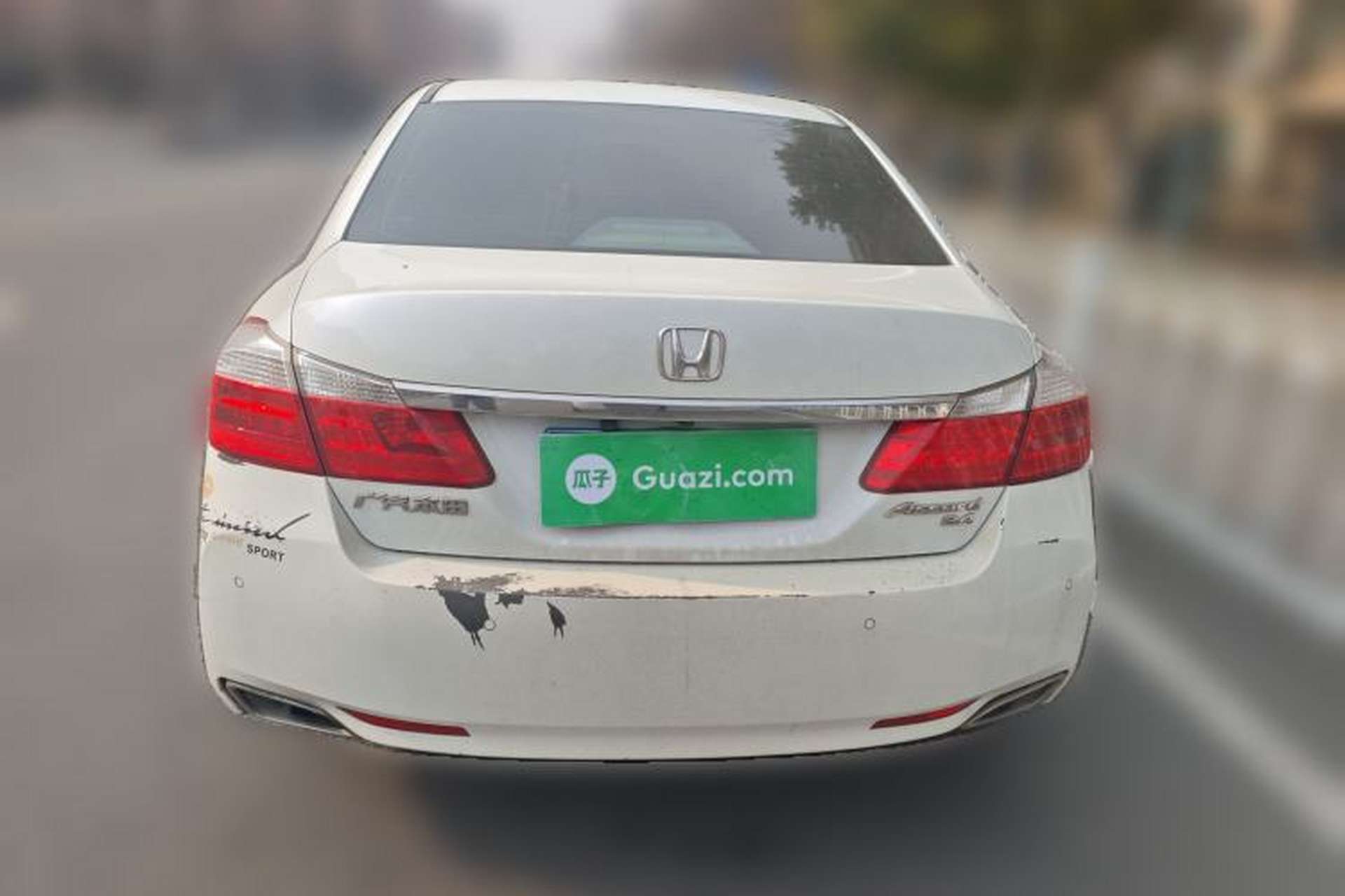 Used Honda Accord 2014 2.4L EX Luxury Edition Rear