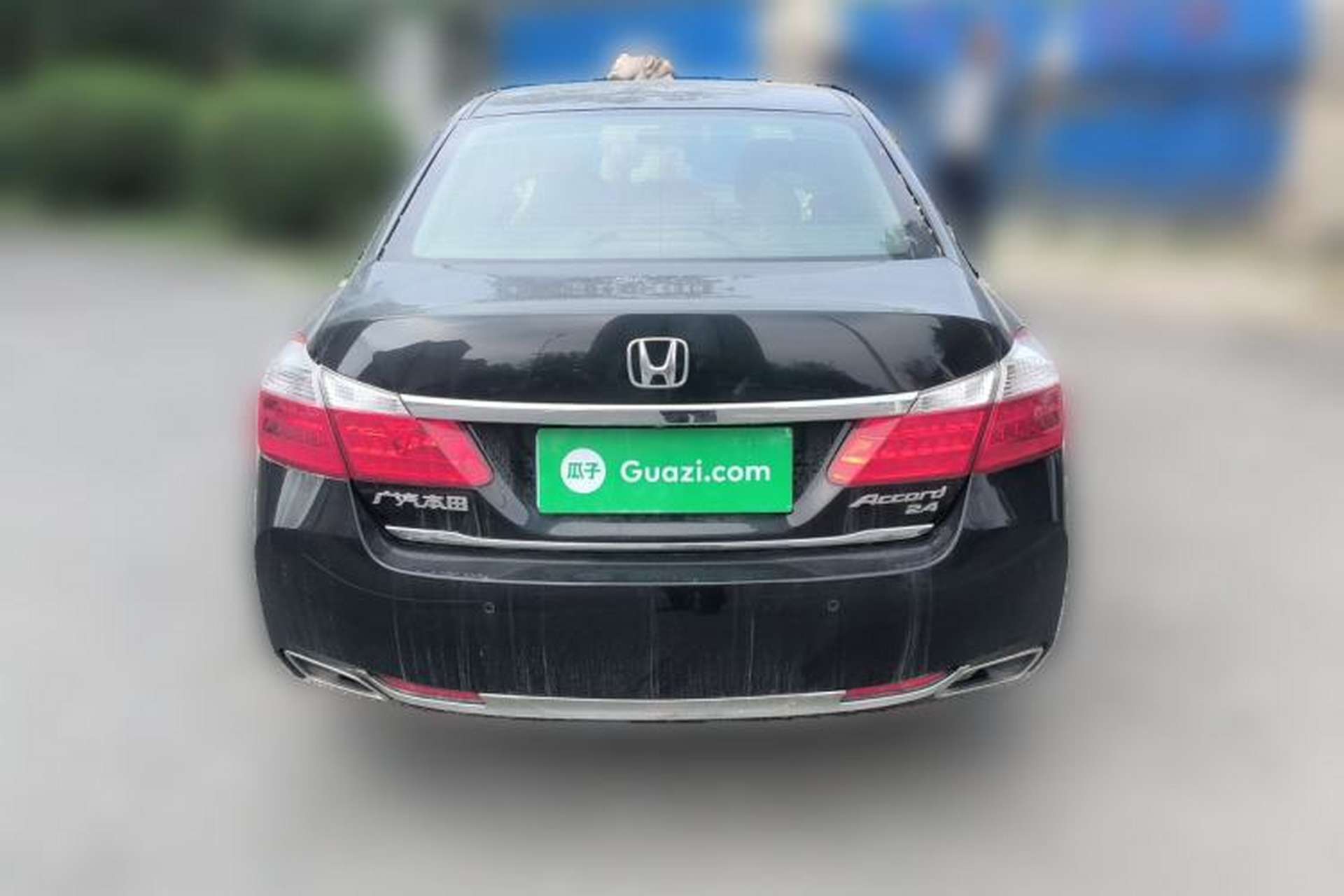Used Honda Accord 2015 2.4L EX Luxury Edition Rear